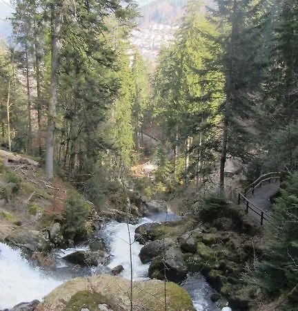 Hotel Zum Baren Triberg im Schwarzwald