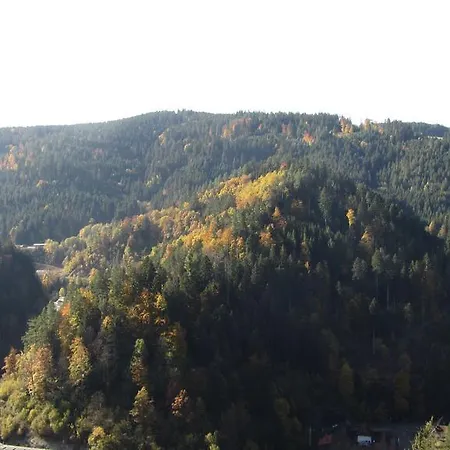Hotel Zum Baren Triberg im Schwarzwald